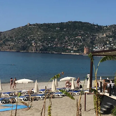 Alanya Blue Dream